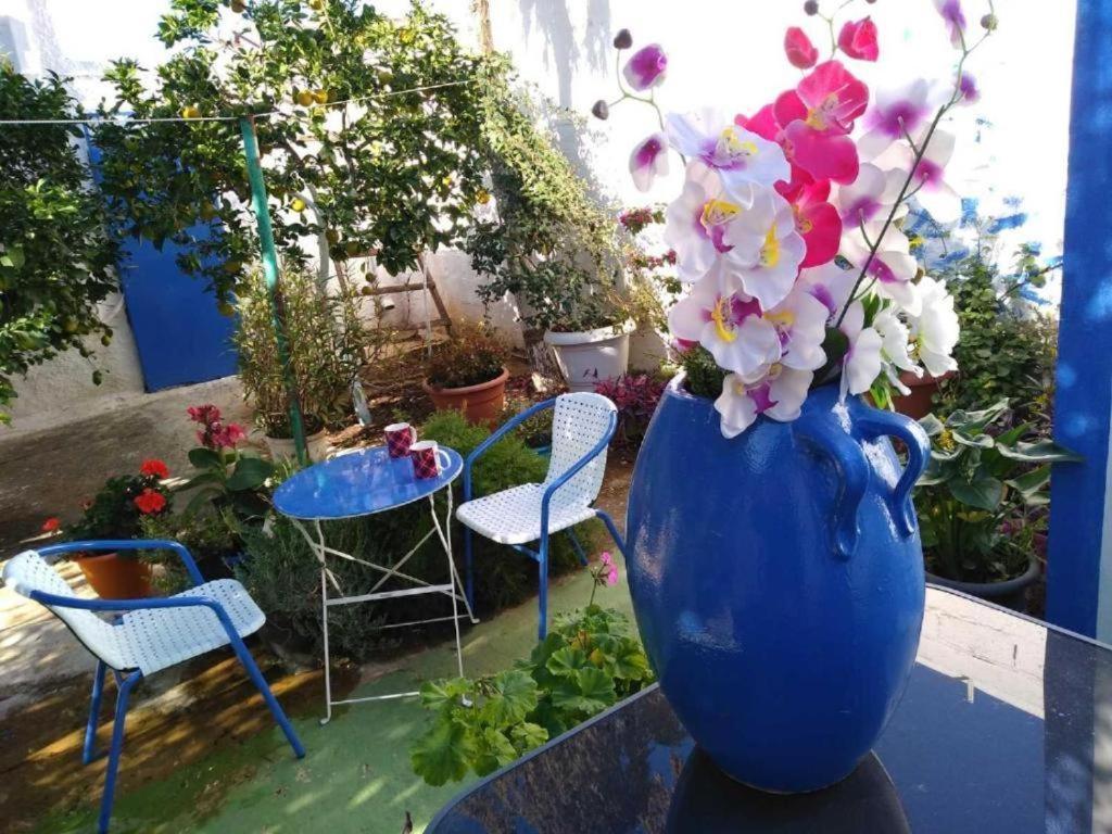 4 Seasons Suites Paradise Near Athens Airport Markopoulo Mesogaias Exterior photo
